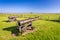 Bronze cannons on Oland island