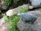 Bronze cat statue on the  stones, creek  in the summer   park,  in Kotka, Finland