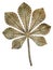 Bronze chestnut leaf.
