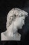 Bronze color gypsum copy of head statue David for artists on a dark background. Replica of face famous antique sculpture