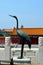 A Bronze Crane Status in Forbidden City in Beijing