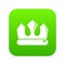Bronze crown icon green vector