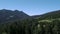 Bronze dragon statue on pole, mountain landscape, forest and alpine pasture