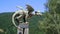 Bronze dragon statue on pole, mountain landscape, forest and alpine pasture