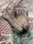 Bronze Feet, Statue, Athens