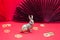 A bronze figure of a bunny hare with golden coins - the symbol of the Chinese new year 2023 on a red background, copy space