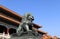 Bronze Guardian Lion Statue in the Forbidden City, Beijing, China