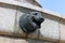 Bronze head of a leopard