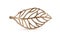Bronze leaf symbol
