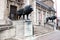 Bronze lions on the entrance steps of Hessian Land Museum, Darmstadt, Germany