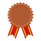 Bronze Medal Award Flat Icon on White