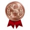 Bronze medal, third place. Winner, champion, number three. 3 rd place. Metalworker`s reward. Red ribbon. Isolated on white