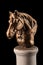 Bronze muzzle horse sculpture plaster column