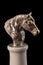 Bronze muzzle horse sculpture plaster column