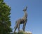 Bronze and plexiglass sculpture of a giraffe by Bob Cassilly at the entrance to the Dallas City Zoo, Texas.