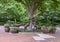 Bronze sculpture of children playing by Gary Price at the Dallas Arboretum and Botanical Garden