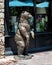 Bronze sculpture of a large bear standing on its hind legs outside a business in Vail, Colorado.