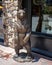 Bronze sculpture of a large bear standing on its hind legs outside a business in Vail, Colorado.