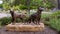 Bronze sculpture by Seth Venable honoring police and fire service dogs in City Center Plaza in downtown Arlington, Texas.