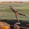 Bronze sculpture titled `Share the Dream` by sculptor Dennis Smith at the Founder`s Plaza Observation Area at DFW Airport.