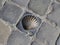 Bronze Shell Symbol of the Pilgrims of Saint James on Cobblestones