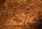 Bronze shinny abstract copper textured background