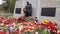 The Bronze Soldier monument in Tallinn.