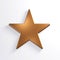 Bronze Star Icon. 3D Render Illustration