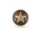 Bronze star symbol