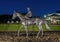 Bronze statue of Alysheba by renowned equine artist Lisa Perry at Lone Star Park in Grand Prairie, Texas.