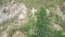 Bronze statue and cross on the hill