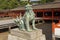 Bronze statue of Komainu traditional japanese guardian lion dog, in Itsukushima Shrine in Japan.