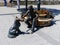 Bronze statues of a girl that plays with a dog to Budapest in Hungary.