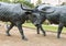 Bronze Steer Sculpture Pioneer Plaza, Dallas