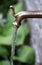 The bronze tap with flowing water