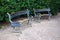 Bronze vintage benches in green summer park