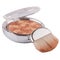 Bronzer powder for facial makeup in a plastic case with a mirror and a brush