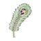 brooch jewelery peacock feather with gems