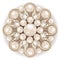 brooch jewelry, design element. pearl vintage ornamenta