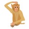 Brooding monkey icon, cartoon style