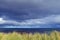 Brooding skies above the North Sea with grass in foreground