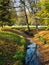 Brook. Autumn in the park