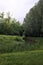 Brook bordered by trees with their reflections casted in the water