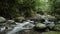 Brook flowing among stones