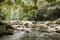 Brook flowing among stones