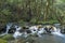 Brook flowing on stones step