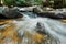 Brook in Green Forest,Mountain stream.