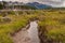 Brook leads to beaver dam at Martial Mountains, Ushuaia, Argentina