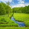 Brook and meadow and forest.