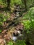 Brook near monastery St.Petka